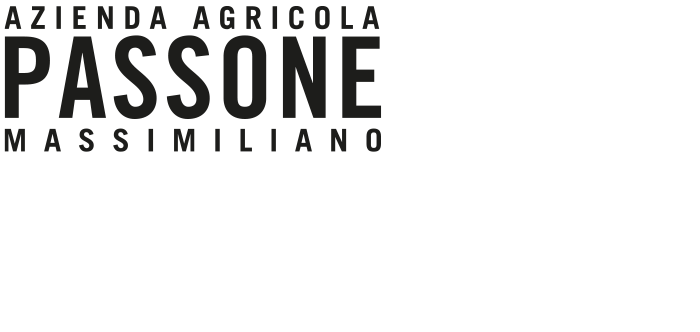 Logo Passone